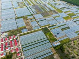 江苏连云港：乡村田园广阔 屋舍俨然