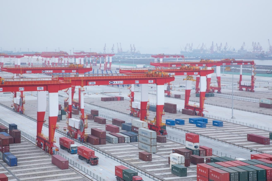 这个码头，比洋山四期还有看头｜高质量发展调研行