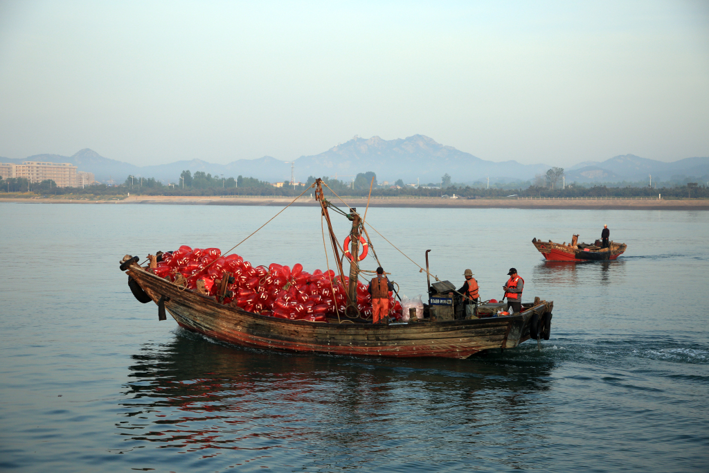 山东日照：渔民分笼养殖牡蛎