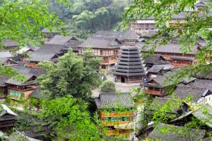 大利侗寨：参天古树掩映古朴木楼