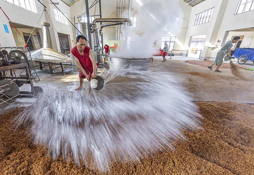 江苏泗洪：酒厂工人承袭古法酿酒