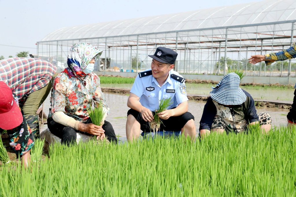 江苏沭阳：“田间警务”护航夏收夏种