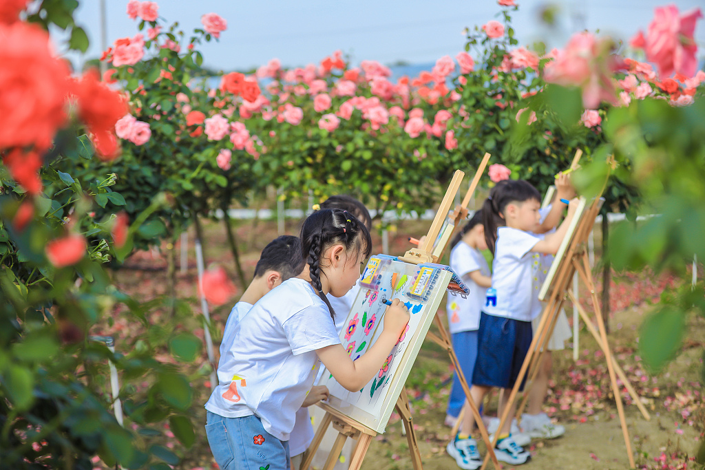 浙江湖州：“小画家”月季园内写生