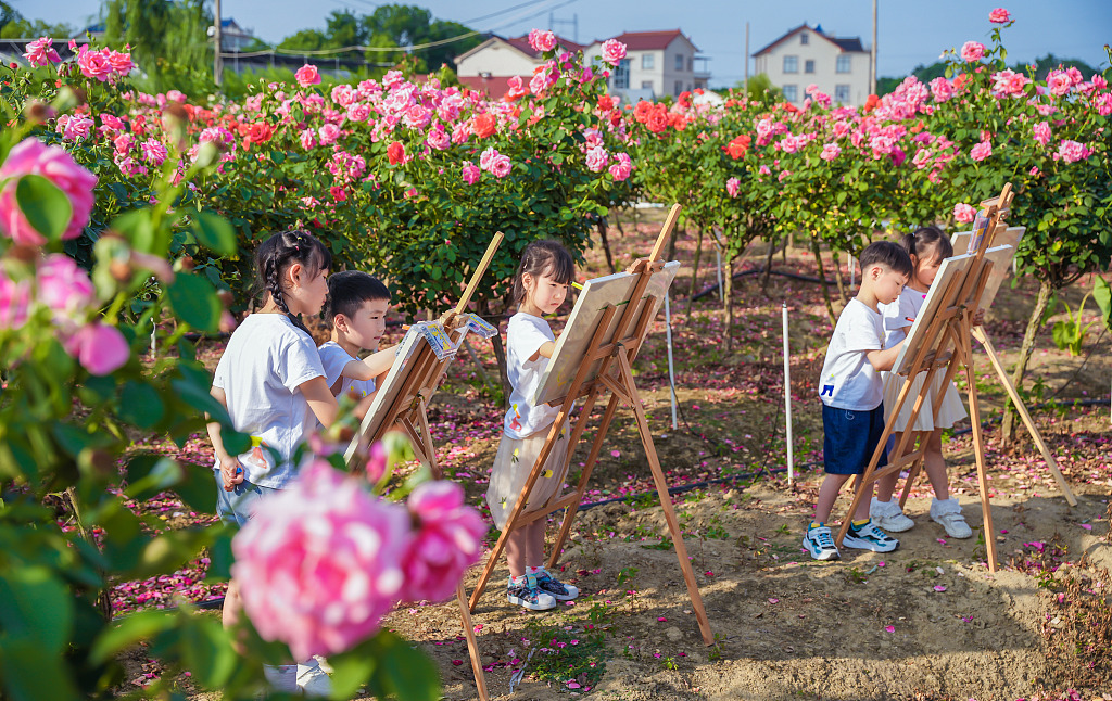 浙江湖州：“小画家”月季园内写生