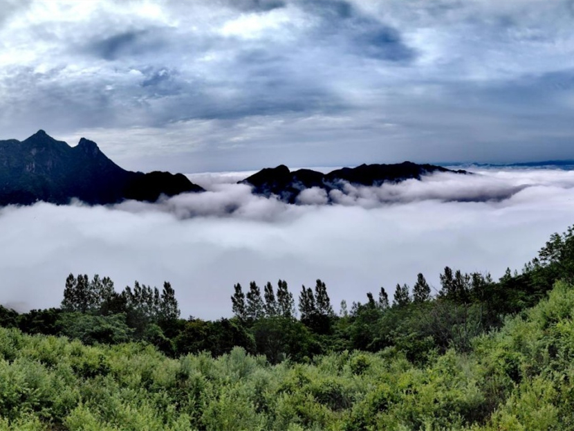 高质量发展调研行 | 走，去安康打卡这座“生态博物馆”！
