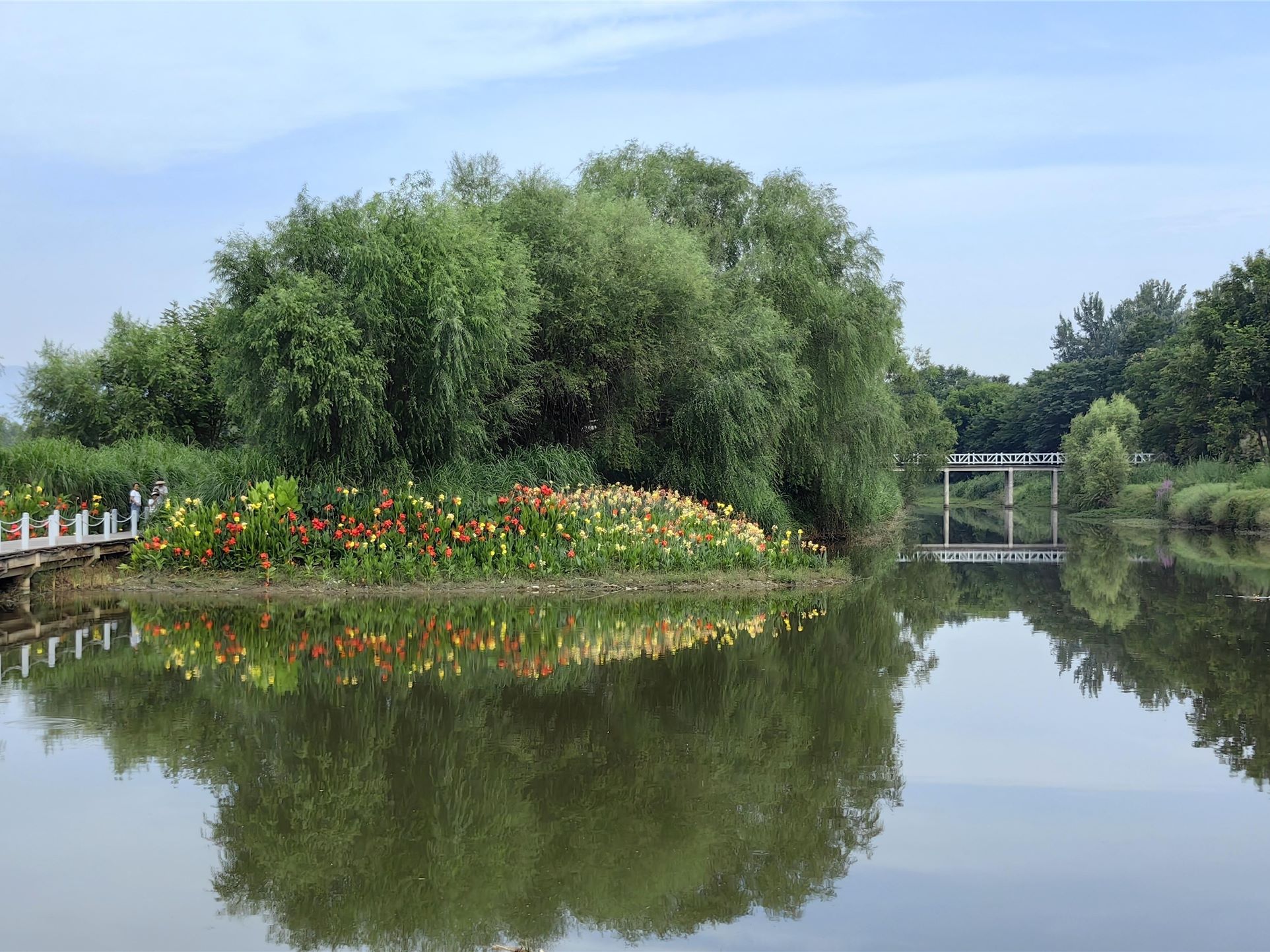 高质量发展调研行 | 在汉中，这座“荒滩”变的“公园”，有多美？