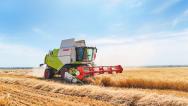 新疆昌吉州：呼图壁县11.5万亩小麦进入收获期
