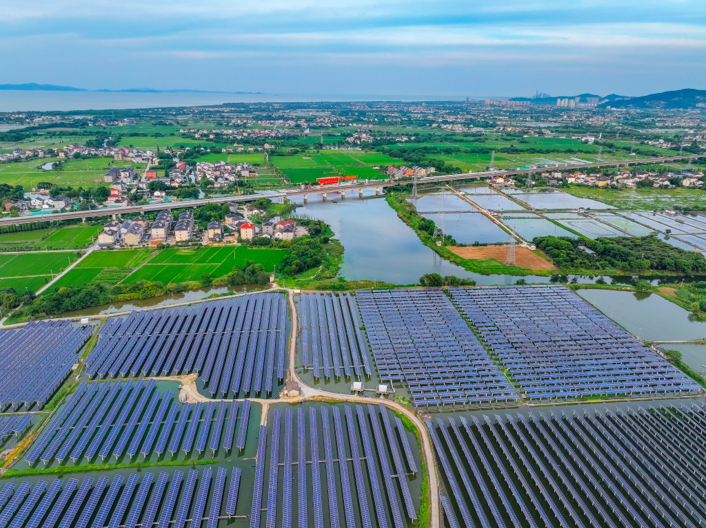 浙江长兴：“渔光互补”助乡村经济、生态双丰收