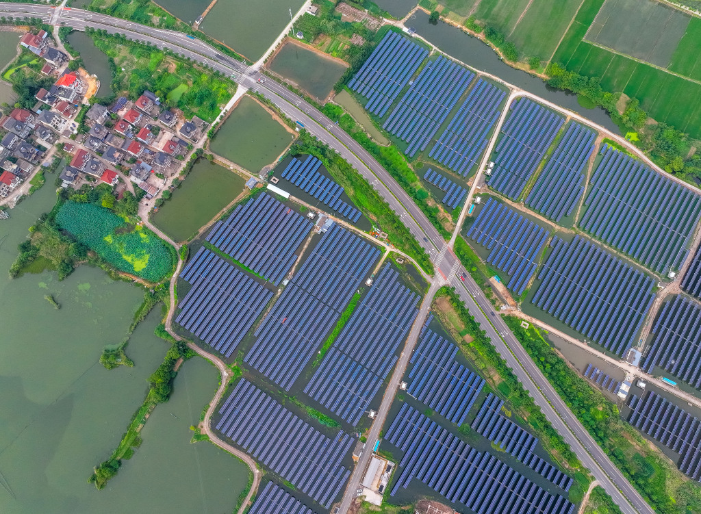 浙江长兴：“渔光互补”助乡村经济、生态双丰收