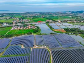 浙江长兴：“渔光互补”助乡村经济、生态双丰收