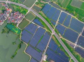 浙江长兴：“渔光互补”助乡村经济、生态双丰收