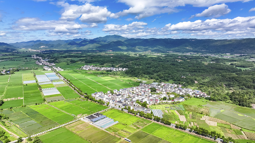 江西瑞昌：夏日乡村绿意盎然