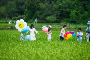 贵州黔西南州：游客稻田赏田园风光