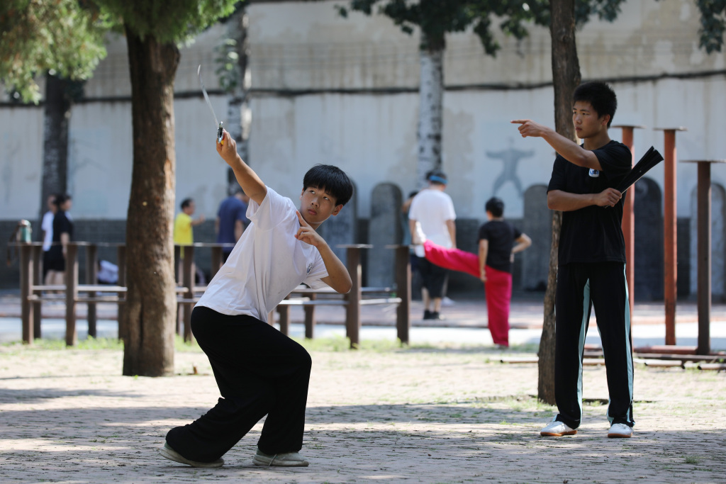 河南焦作：青少年练习太极拳 “武”动暑假