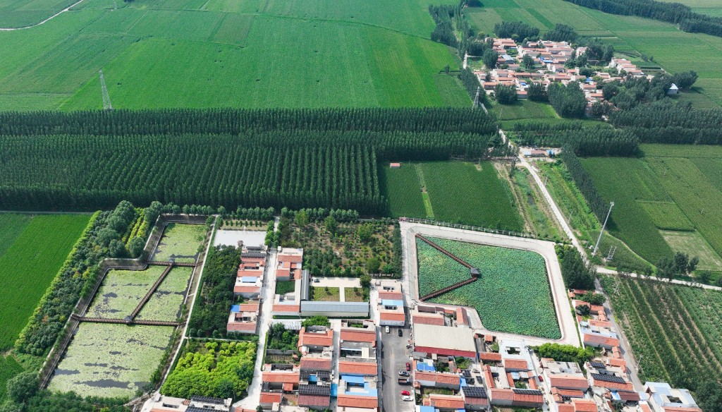 山东邹平以点带面建设绿色生态和美乡村