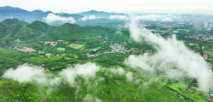 山东邹平以点带面建设绿色生态和美乡村