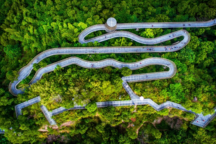 高质量发展调研行 | 连续45年森林覆盖率全国第一，福建是如何做到的？