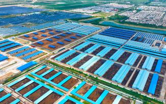 银川：昔日“干沙滩”变“金沙滩” 闽宁镇走出绿色发展新路子