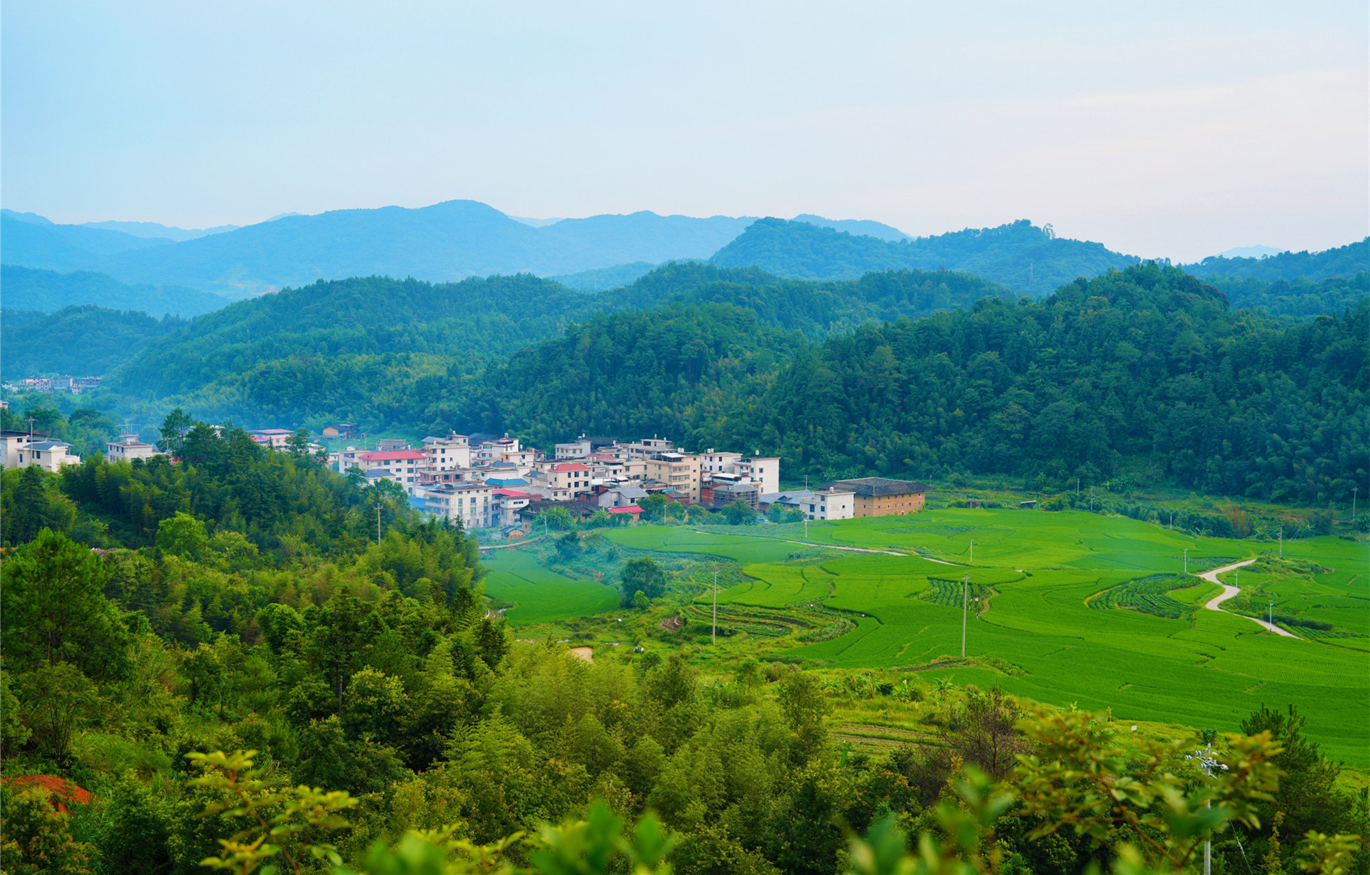 高质量发展调研行 | “黑煤山”蝶变“花果山”，这个闽西小镇有何秘诀？