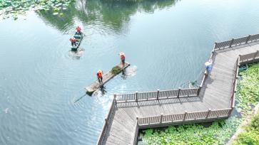 浙江德清：河道保洁员守护河道水清岸绿