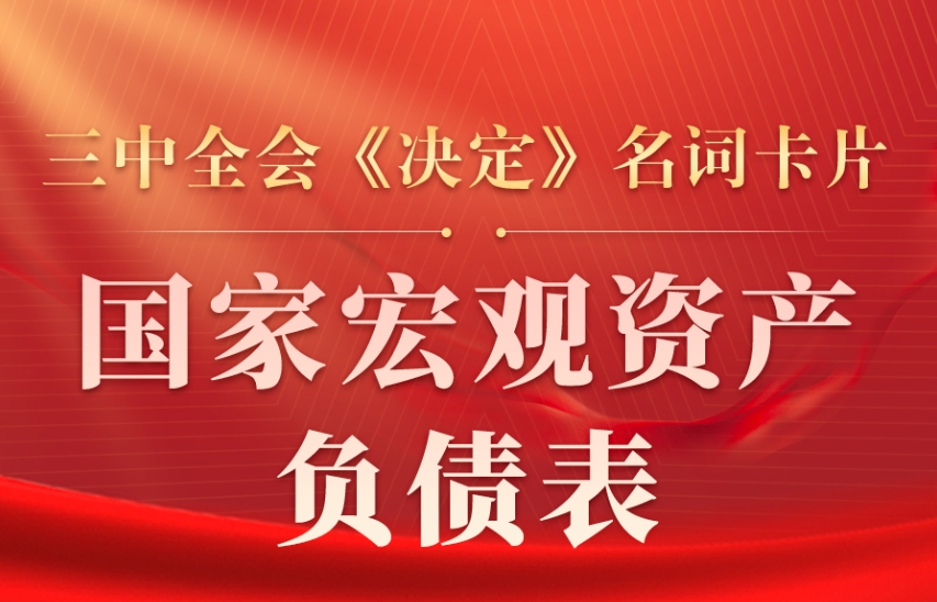 三中全会《决定》名词卡片天天学：国家宏观资产负债表