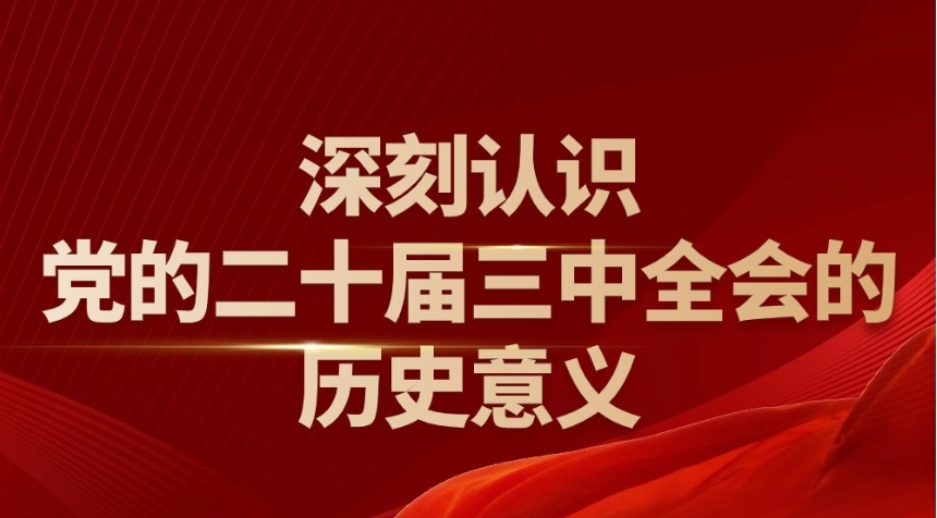 图解｜深刻认识党的二十届三中全会的历史意义