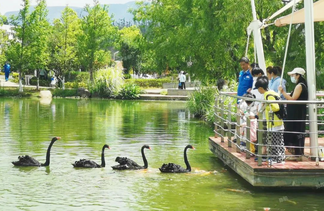 高质量发展调研行|这个“国家绿色工厂”，怎样每年“让水”330万吨？