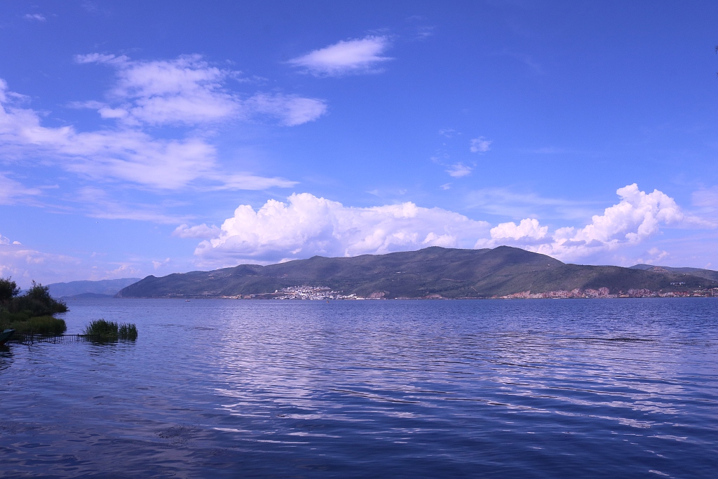 洱海源头海菜花又开（高质量发展调研行）