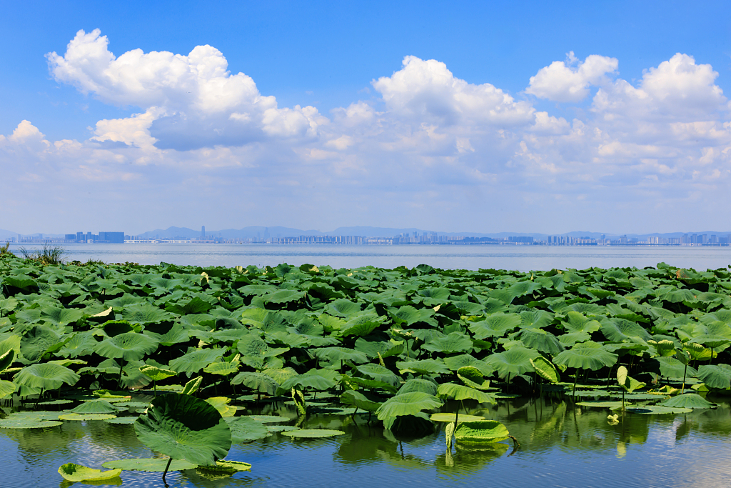 云南加快发展方式绿色转型（高质量发展调研行）
