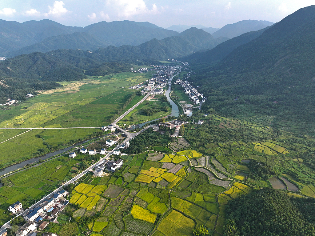 江西上饶：乡村稻田黄绿交错风景秀美