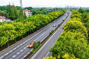 浙江湖州：栾树花开扮靓公路