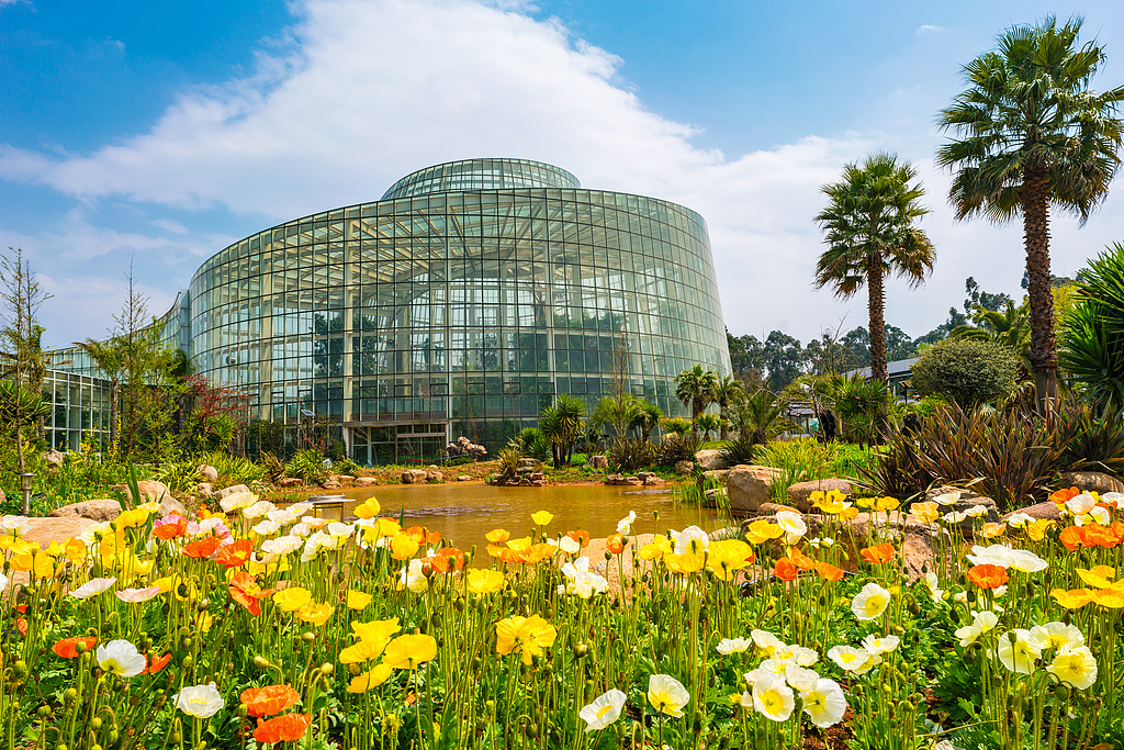 云南加大生态环境保护力度（高质量发展调研行）