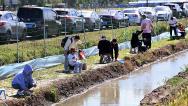 沈阳：游客稻田钓螃蟹 解锁文旅新体验