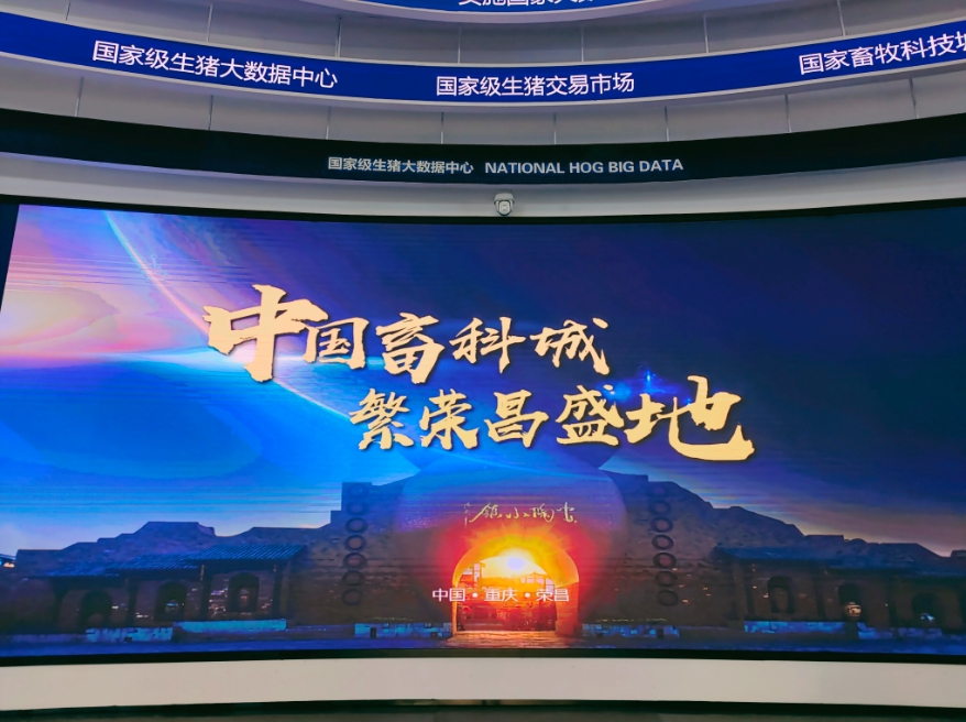 高质量发展调研行丨大数据如何“养”猪？走进重庆荣昌“国家级生猪大数据中心”