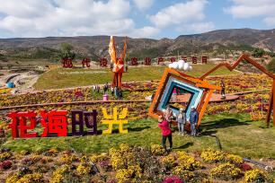 呼和浩特花海色彩斑斓 市民游客漫步其间