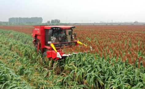 “保障国家粮食安全是一个永恒课题”