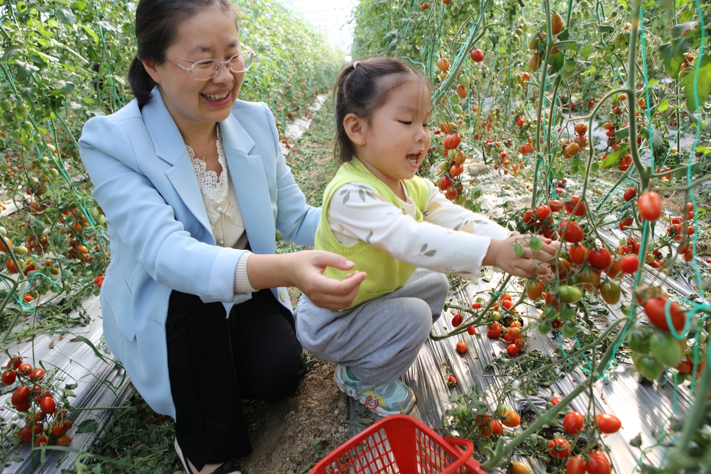 江西宜春：育秧大棚果蔬丰收