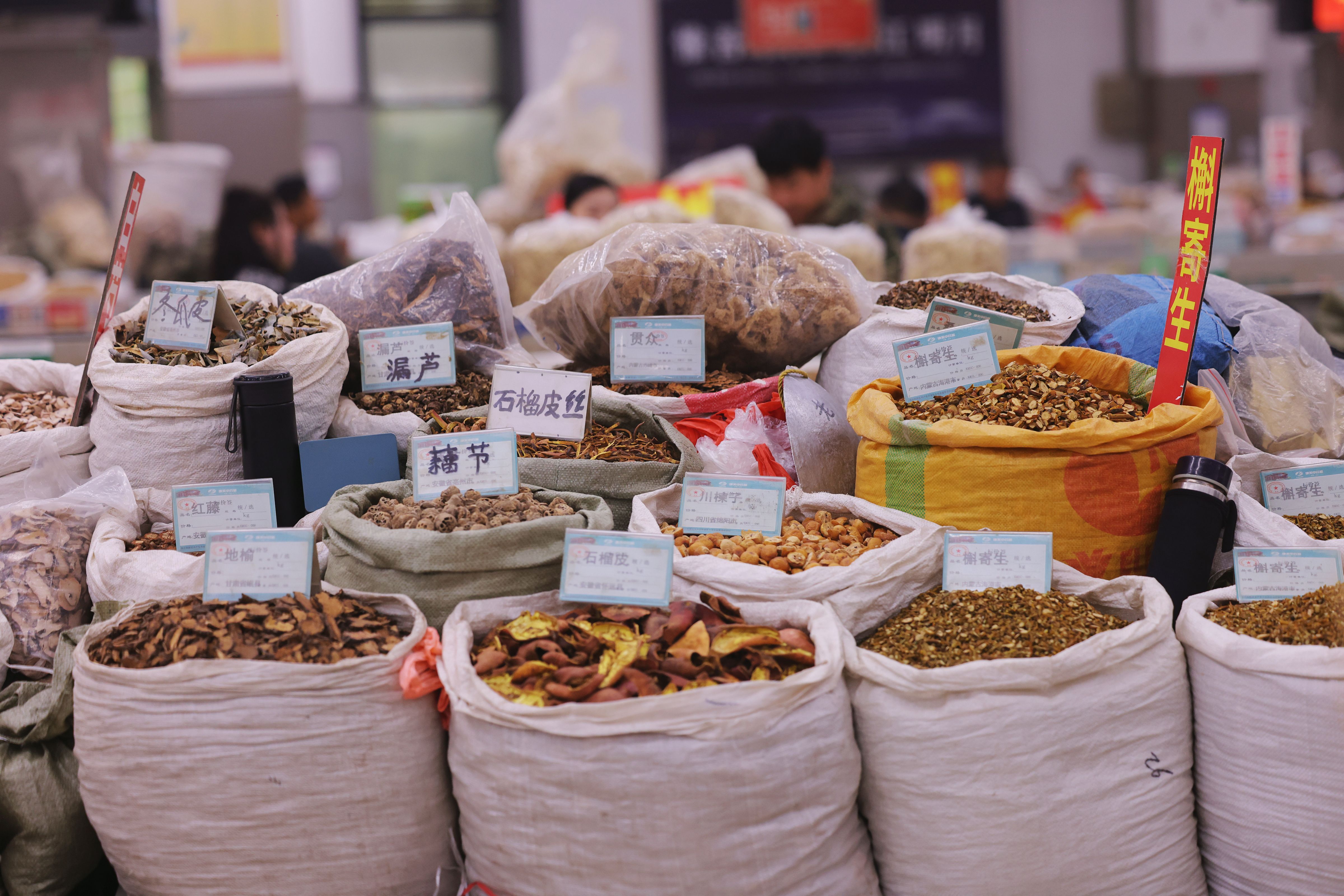 高质量发展调研行 | 从一方药圃 看亳州中医药如何蝶变