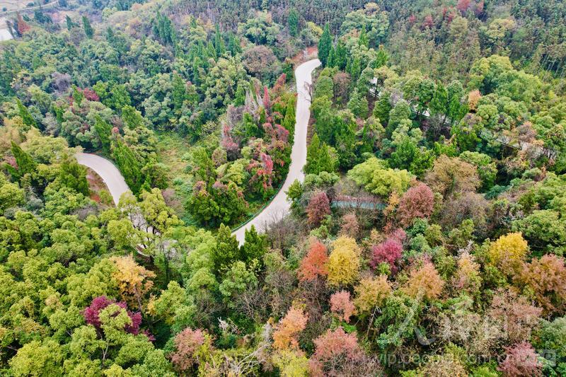 江西上高：旅游公路美如画