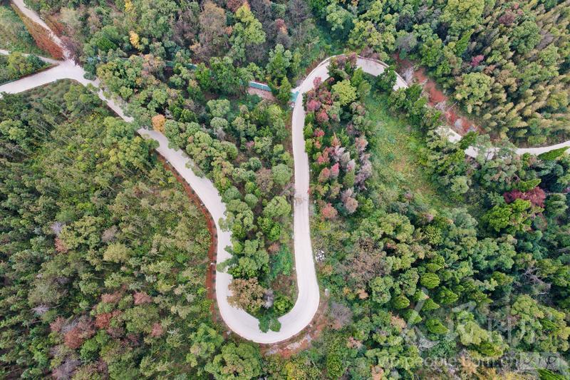 江西上高：旅游公路美如画