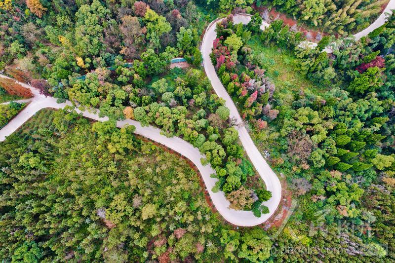 江西上高：旅游公路美如画