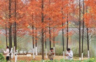 湖南衡阳：考研复习备考忙