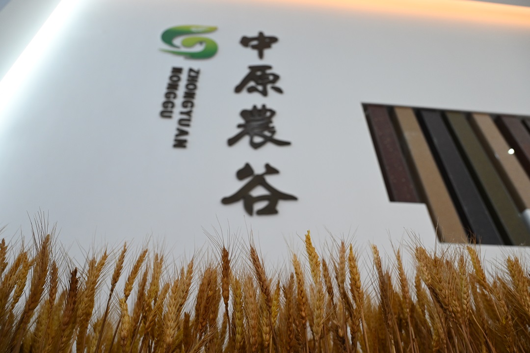 高质量发展调研行｜河南中原农谷：一粒种子，无限生机