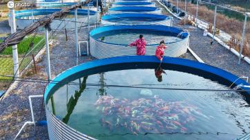 河南西峡：生态养殖 增收致富