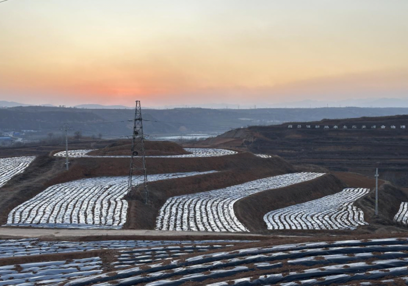 高质量发展调研行 | 河南中原药谷：草木千味药，万亩致富田