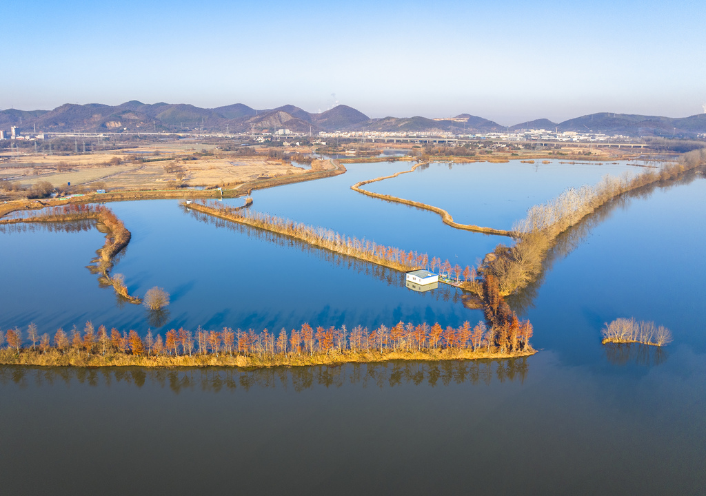 安徽芜湖：小微湿地成为候鸟乐园