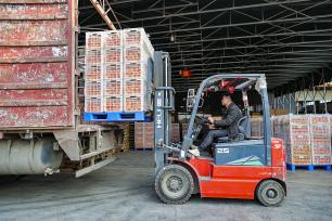 南宁：万亩沃柑陆续成熟进入采摘期