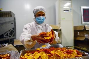 湖北秭归：食品工人精深加工脐橙