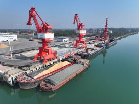 江西泰和：港口有序装卸货物