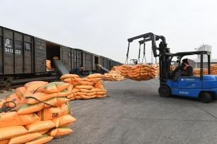 山西稷山：工人装运化肥 助力春耕生产